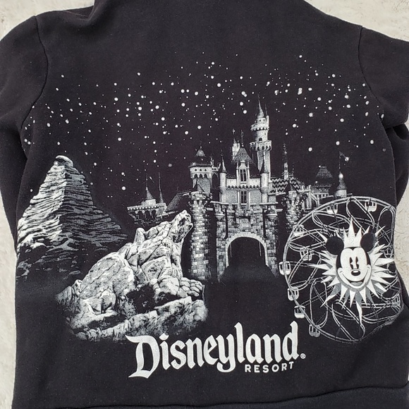 Disneyland Sparkle Hoodie - Picture 1 of 4